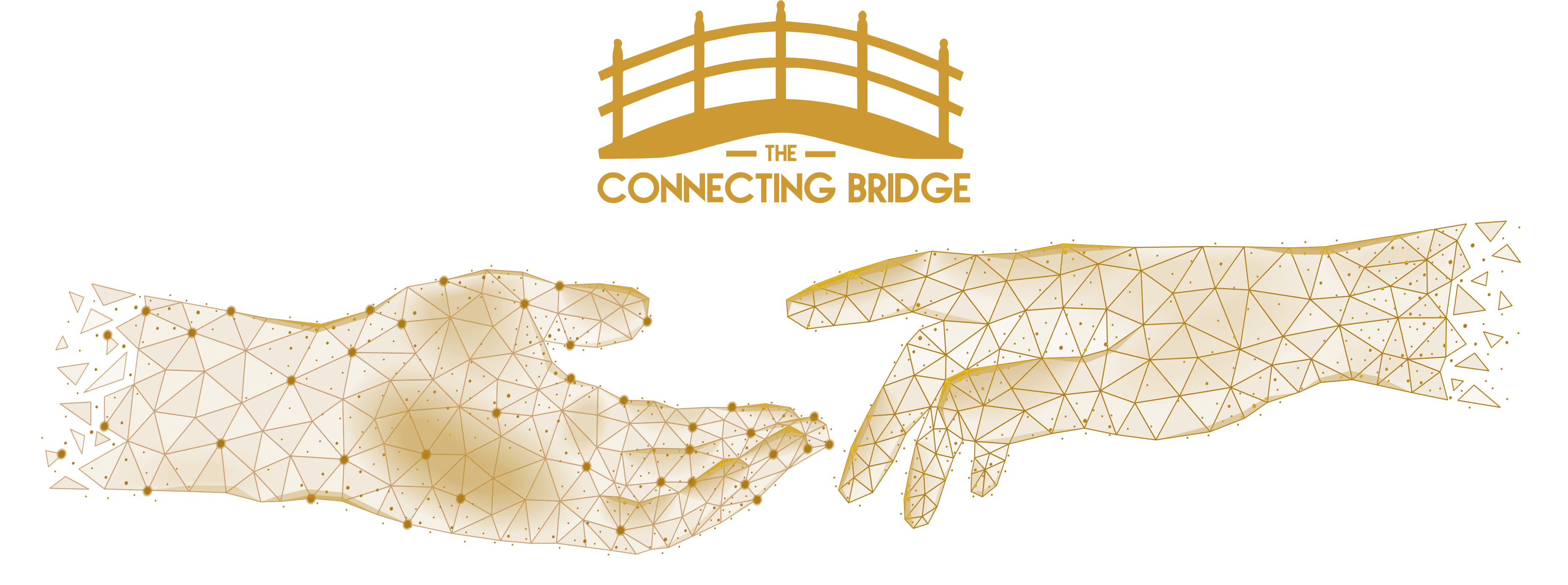 the connecting bridge